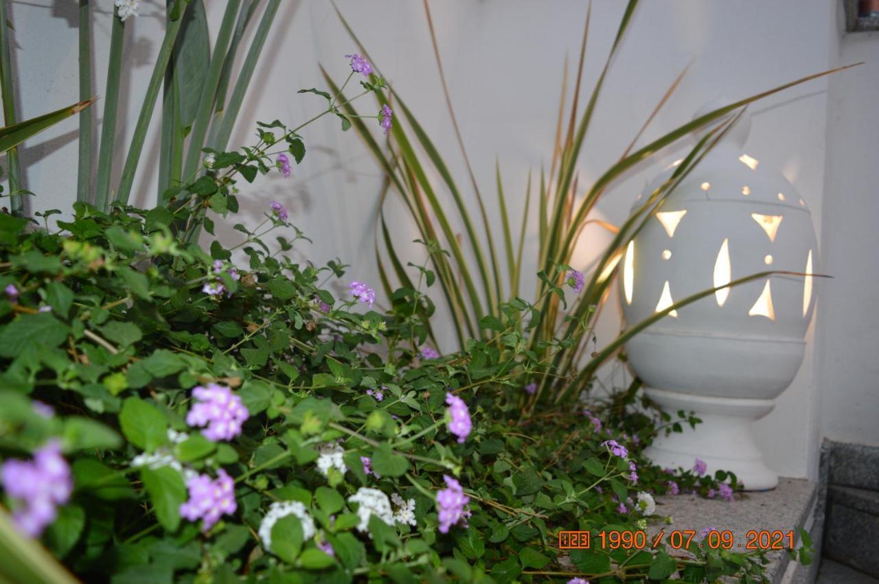Bed And Breakfast Villa Tota Καταντζάρο Εξωτερικό φωτογραφία