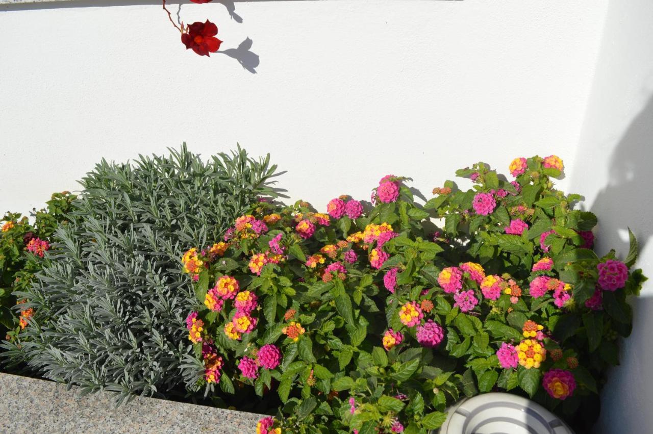 Bed And Breakfast Villa Tota Καταντζάρο Εξωτερικό φωτογραφία